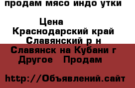 продам мясо индо-утки › Цена ­ 250 - Краснодарский край, Славянский р-н, Славянск-на-Кубани г. Другое » Продам   